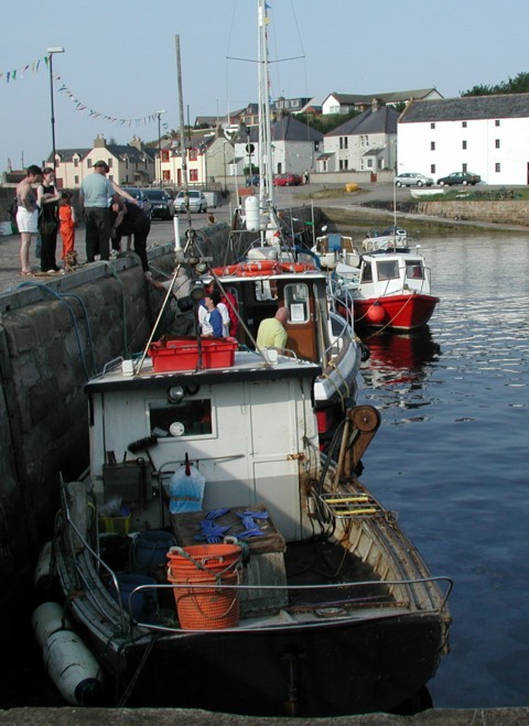 Portmahomack Harbour